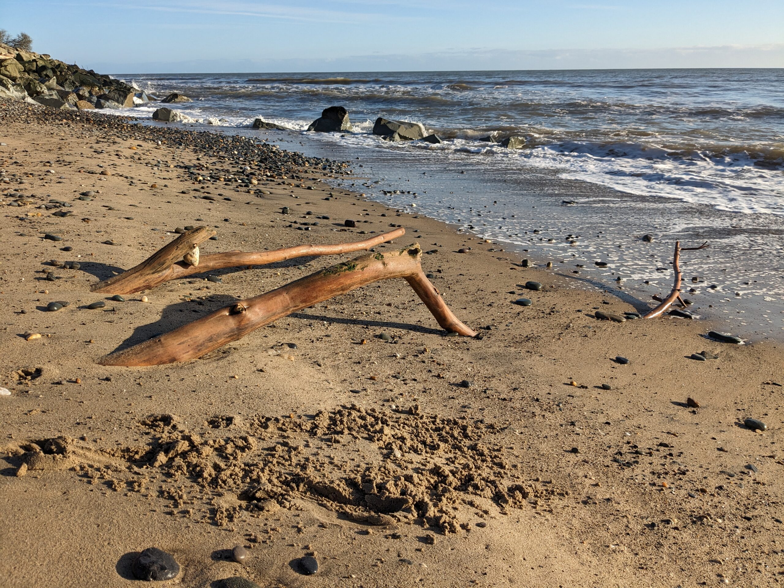 Driftwood