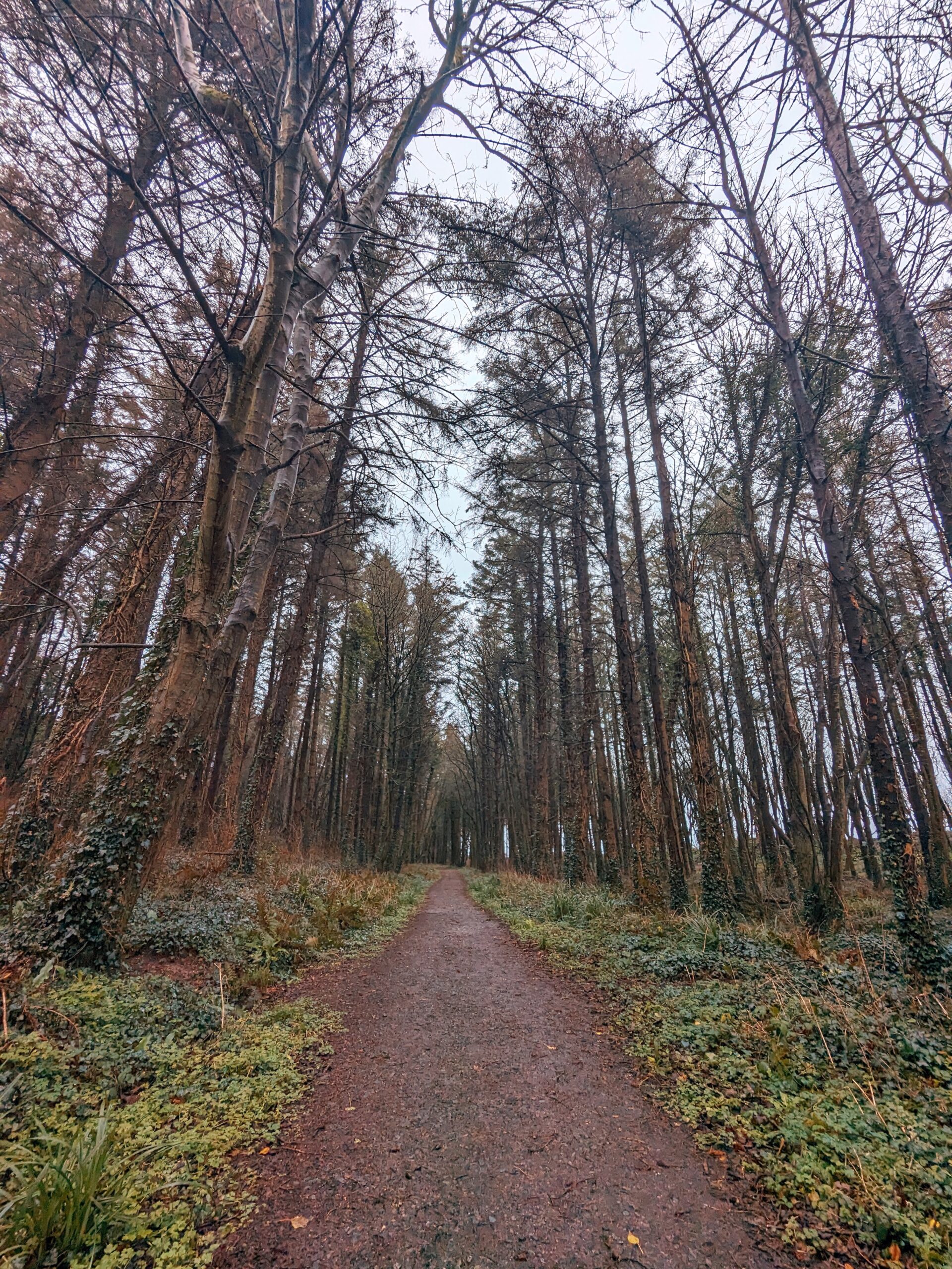 Rainy day walk